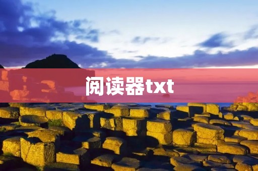 阅读器txt：便捷高效的阅读利器