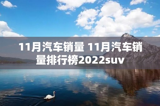 11月汽车销量 11月汽车销量排行榜2022suv 11月汽车销量 11月汽车销量排行榜2022suv