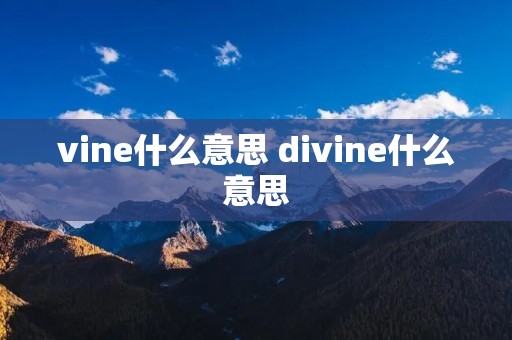 vine什么意思 divine什么意思