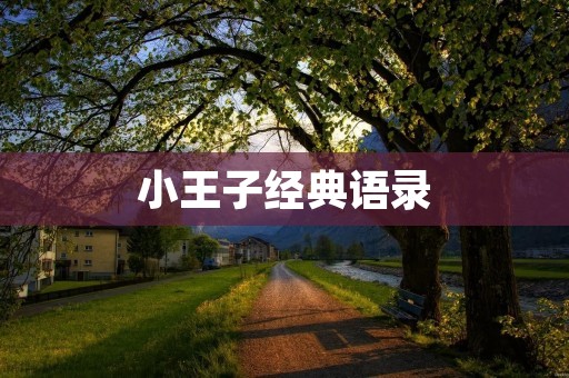 小王子经典语录：用心灵去看世界，用爱去感受生命的真谛