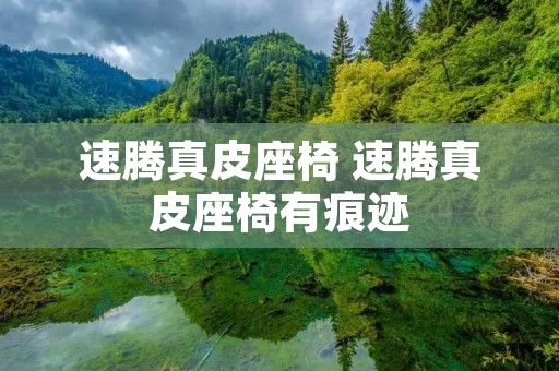 速腾真皮座椅 速腾真皮座椅有痕迹