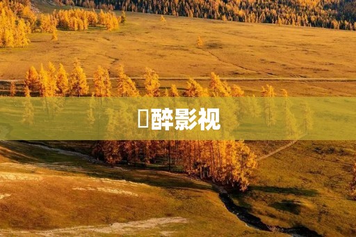 巭醉影视：让你体验不一样的电影世界