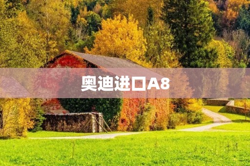 奥迪进口A8:豪华与性能的完美结合 奥迪进口A8:豪华与性能的完美结合