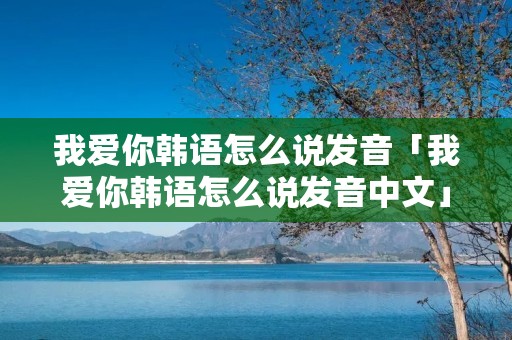 我爱你韩语怎么说发音「我爱你韩语怎么说发音中文」