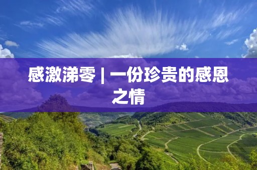 感激涕零 | 一份珍贵的感恩之情