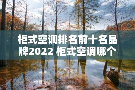 柜式空调排名前十名品牌2022 柜式空调哪个品牌性价比高