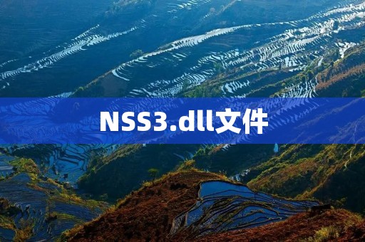 NSS3.dll文件：解决浏览器错误和保障安全性