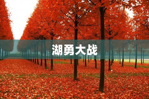 湖勇大战：一场传奇的对决