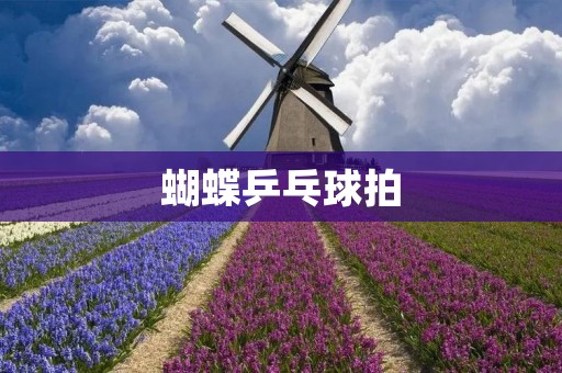 蝴蝶乒乓球拍：让你的球技飞翔