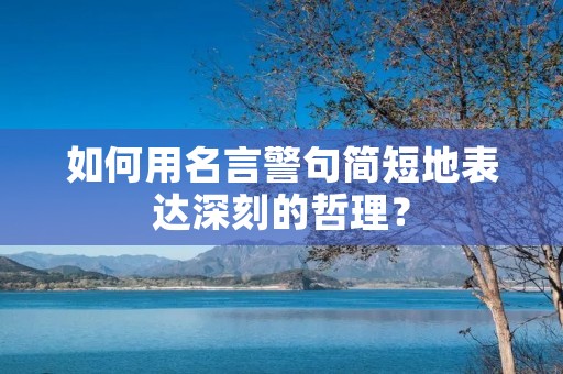 如何用名言警句简短地表达深刻的哲理?