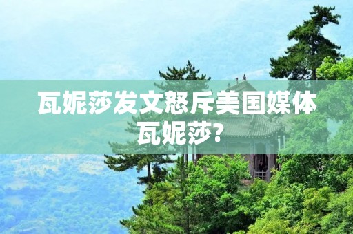 瓦妮莎发文怒斥美国媒体 瓦妮莎?
