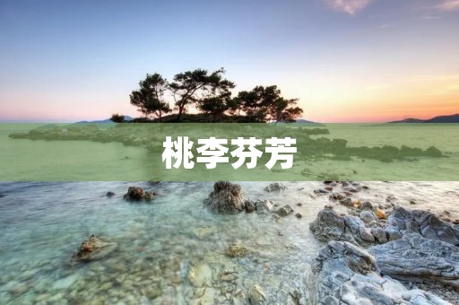 桃李芬芳：传承千年的中华文化之美