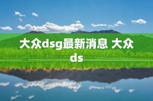 大众dsg最新消息 大众ds