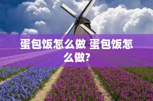 蛋包饭怎么做 蛋包饭怎么做?