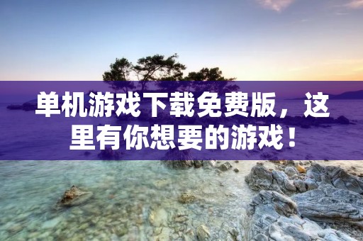 单机游戏下载免费版,这里有你想要的游戏!