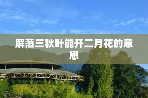 解落三秋叶能开二月花的意思：生命的无限可能与坚韧