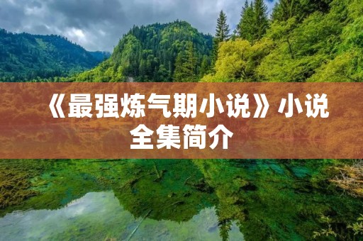 《最强炼气期小说》小说全集简介
