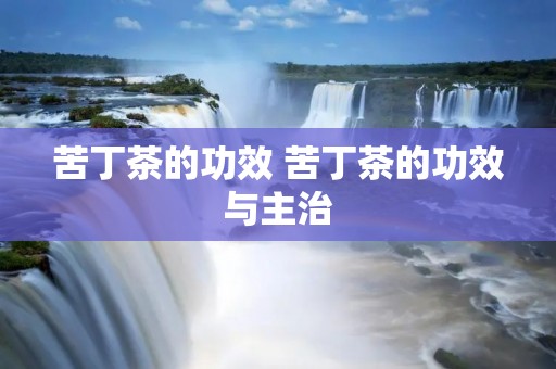 苦丁茶的功效 苦丁茶的功效与主治
