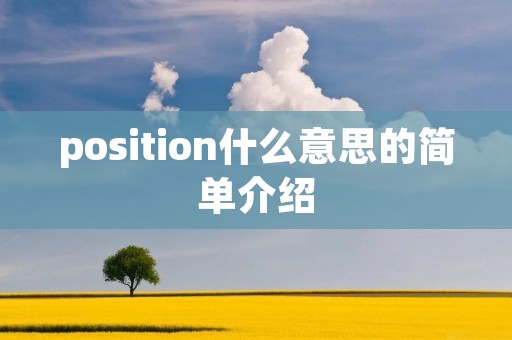 position什么意思的简单介绍