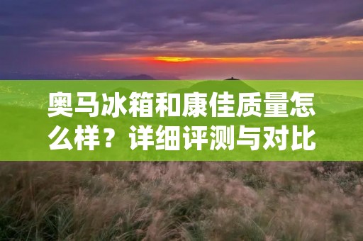 奥马冰箱和康佳质量怎么样？详细评测与对比