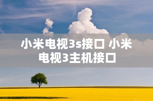 小米电视3s接口 小米电视3主机接口