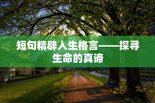 短句精辟人生格言——探寻生命的真谛