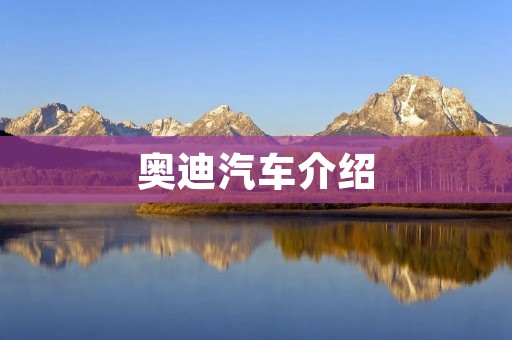 奥迪汽车介绍：德国工艺与创新的完美结合