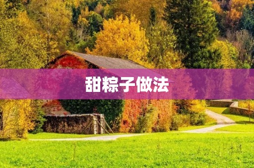 甜粽子做法：传统与创新的完美融合