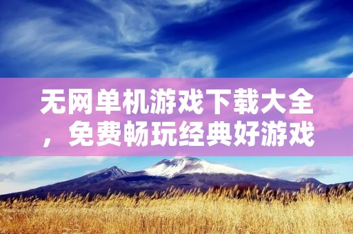 无网单机游戏下载大全,免费畅玩经典好游戏! 无网单机游戏下载大全,免费畅玩经典好游戏!