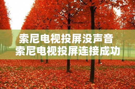 索尼电视投屏没声音 索尼电视投屏连接成功但是播放不了