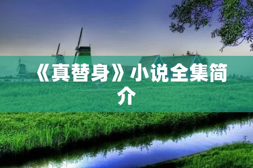 《真替身》小说全集简介
