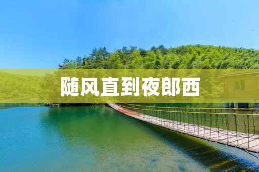 随风直到夜郎西:探寻文化之旅