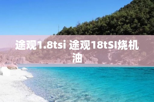 途观1.8tsi 途观18tSI烧机油