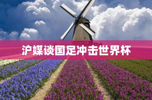 沪媒谈国足冲击世界杯：揭秘国足备战现状与挑战