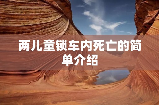 两儿童锁车内死亡的简单介绍