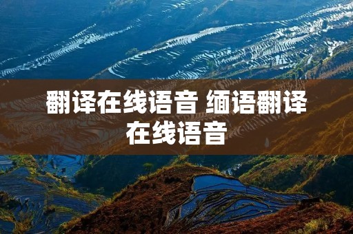 翻译在线语音 缅语翻译在线语音