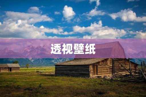 透视壁纸：打破空间限制，让你的家更有深度