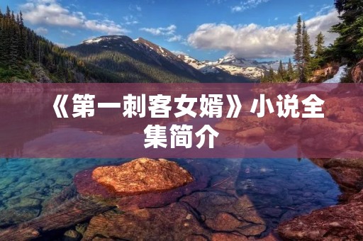 《第一刺客女婿》小说全集简介