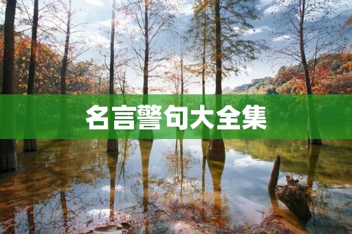 名言警句大全集：深入探索人生的智慧之光