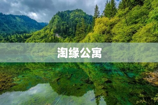 淘缘公寓：一个让你找到家的地方