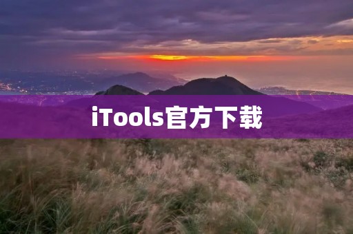 iTools官方下载：最好用的iOS管理工具