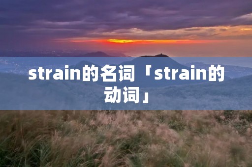 strain的名词「strain的动词」