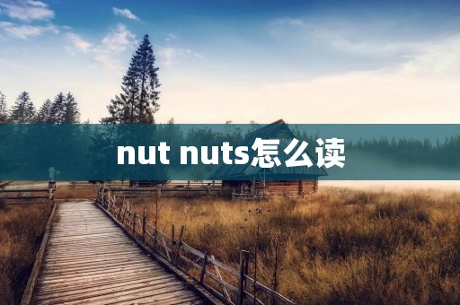 nut nuts怎么读