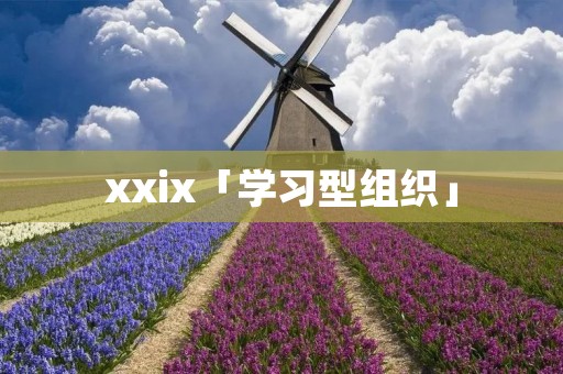 xxix「学习型组织」