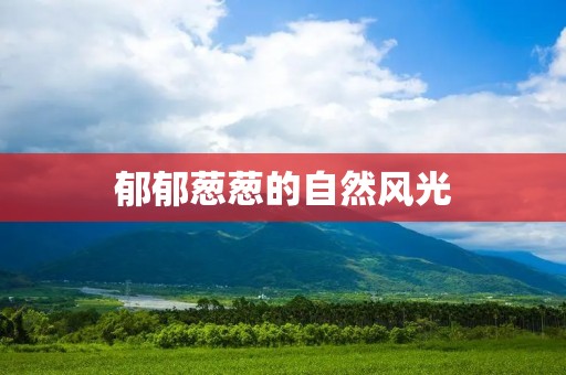郁郁葱葱的自然风光:大自然的生机勃勃