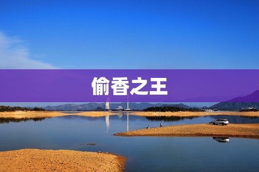 偷香之王:一部揭示爱情与背叛的心理犯罪小说