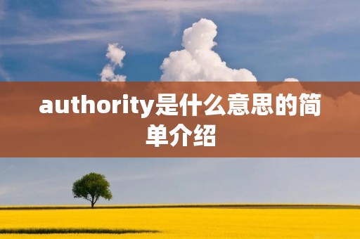 authority是什么意思的简单介绍 authority是什么意思的简单介绍
