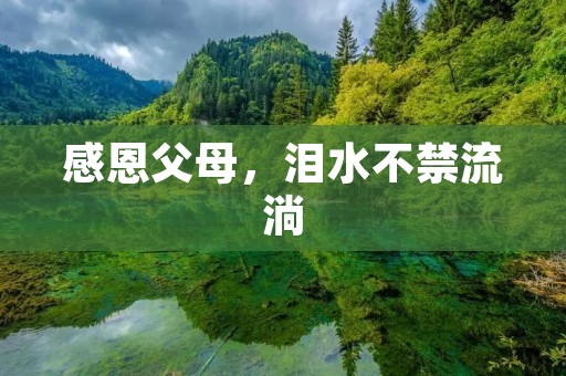 感恩父母，泪水不禁流淌