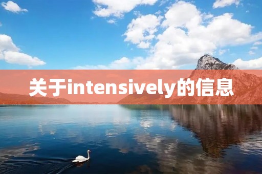 关于intensively的信息