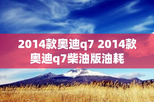 2014款奥迪q7 2014款奥迪q7柴油版油耗